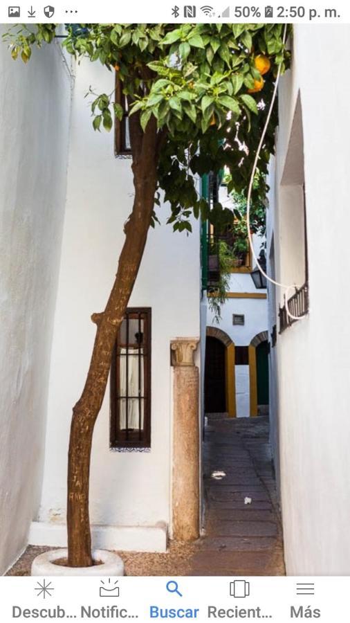 Perez De Castro Appartement Córdoba Buitenkant foto